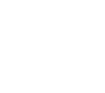 cummins (1)